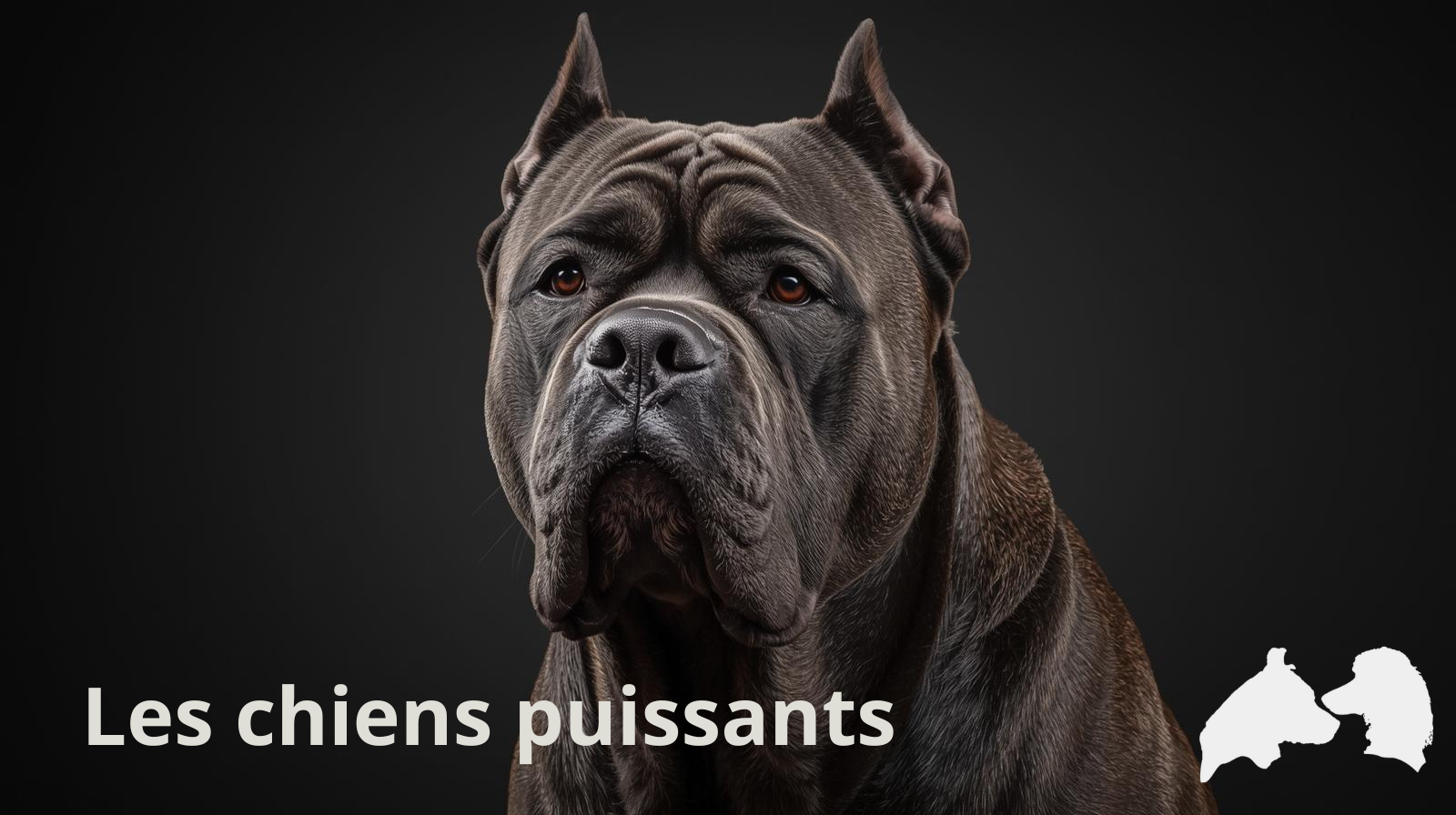 Chien puissant !