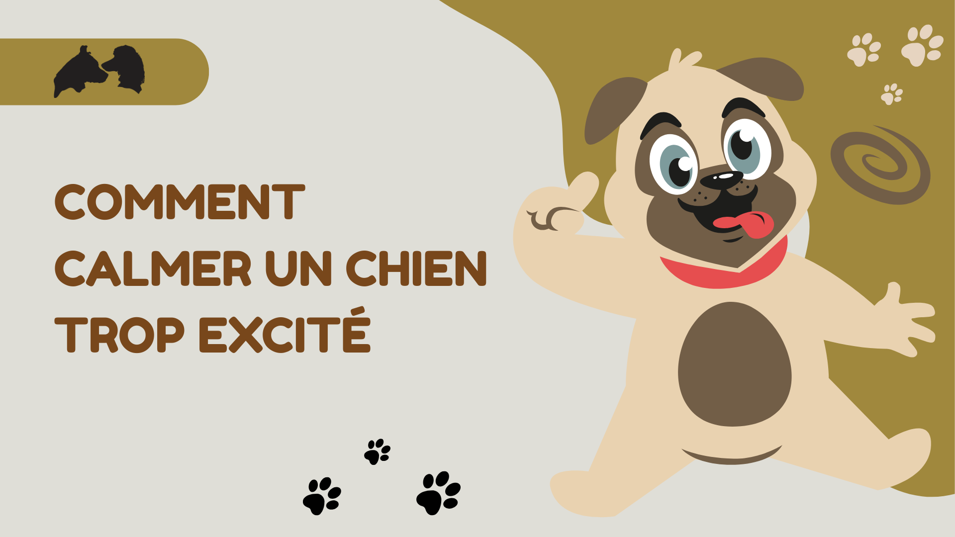 Comment calmer un chien trop excité