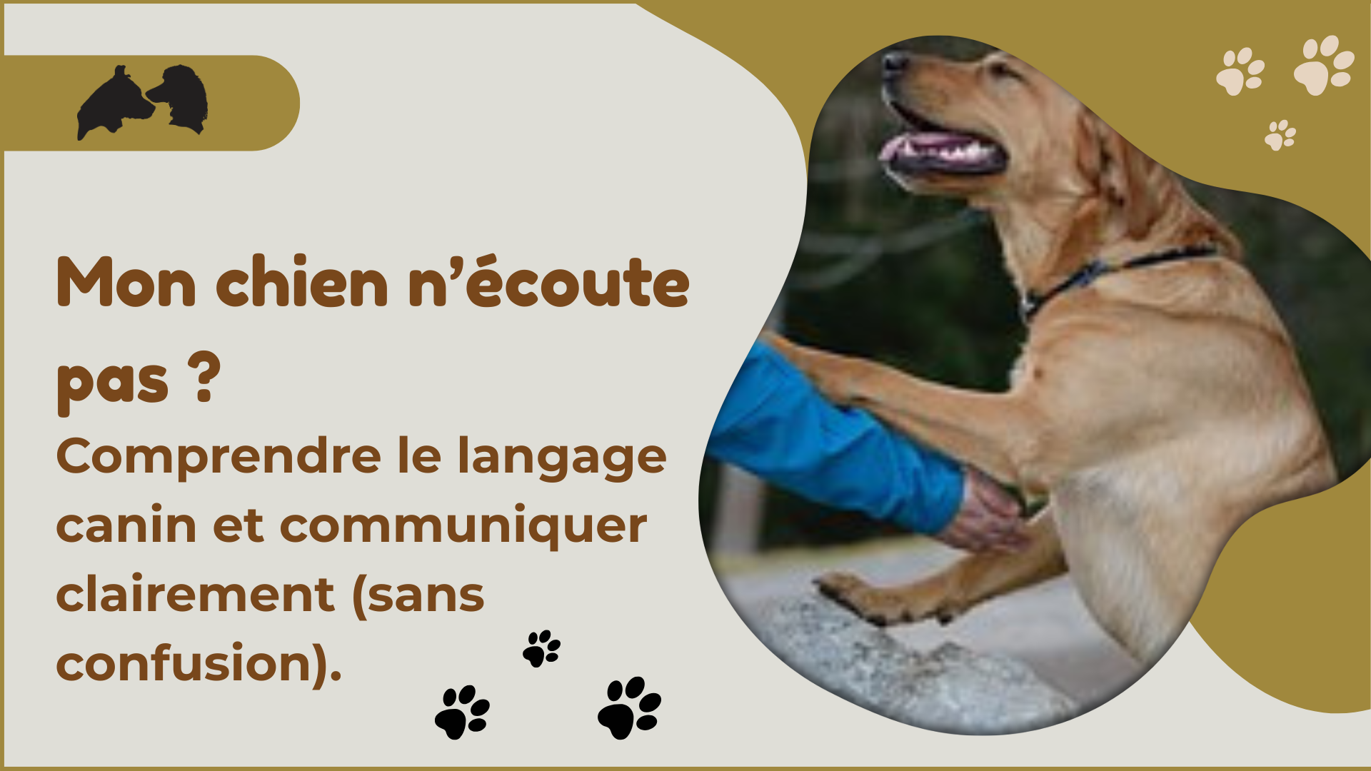 Mon chien n’écoute pas?