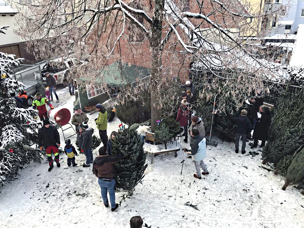 OBV Weihnachtsbaumverkauf mit Kunstmarkt