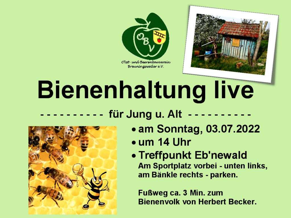 Herbert Becker zeigt sein Bienenvolk live am Eb'newald