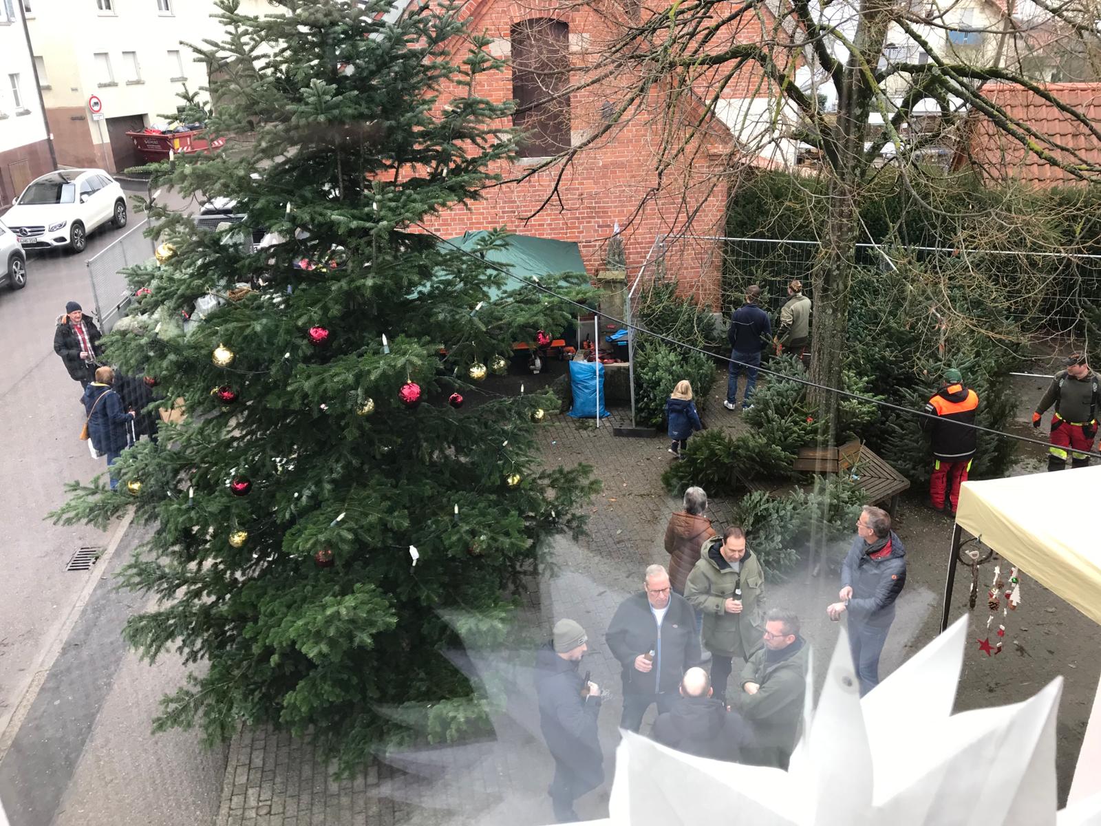 OBV Weihnachtsbaumverkauf & Kunstmarkt