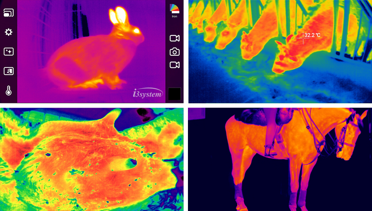 Thermal Expert Camera Pictures