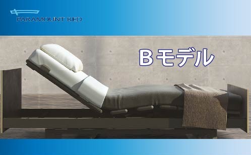 新商品　Ｂモデル　by　パラマウントベッド / スリープキューブ和多屋 since 1896