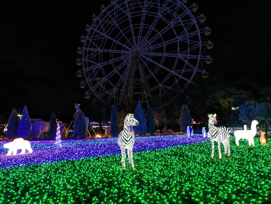 2024-2025年 東武動物公園イルミネーション 開催情報と現地解説｜日程・駐車場・アクセス