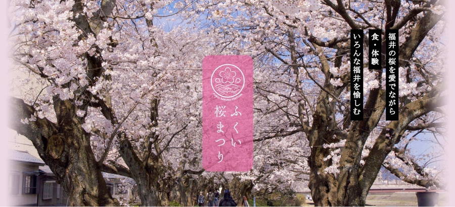2026年 ふくい桜まつり 開催概要｜日程・スケジュール・駐車場・場所・アクセス・出店など