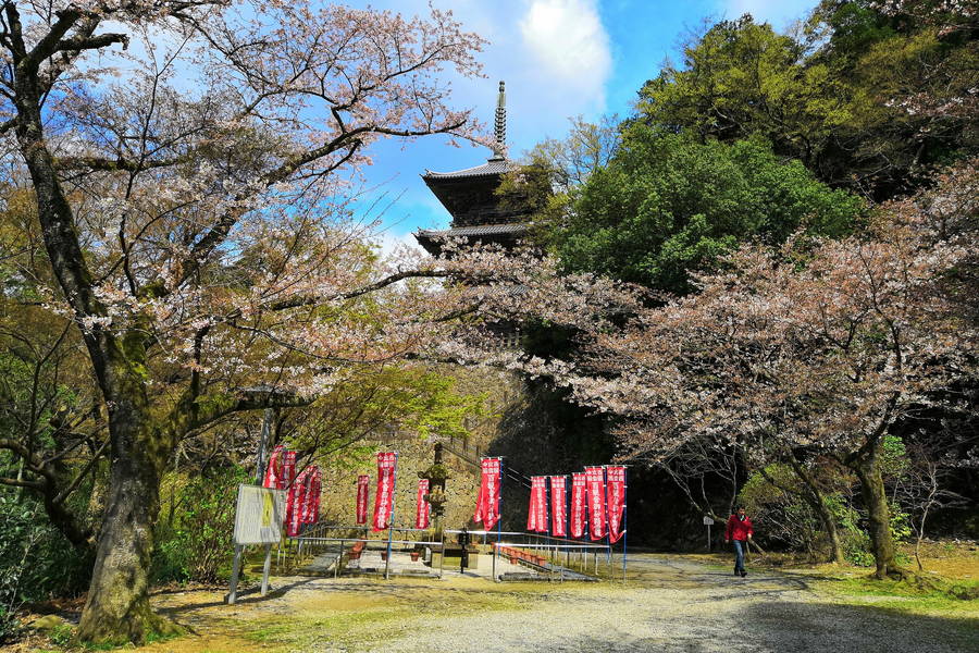 清水寺｜日本で唯一！？塔内を登れる三重塔【島根観光スポット】