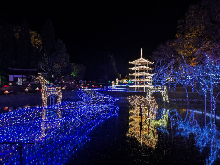2024-2025年 国営備北丘陵公園ウインターイルミネーション 開催情報＆現地解説｜日程・駐車場・アクセス