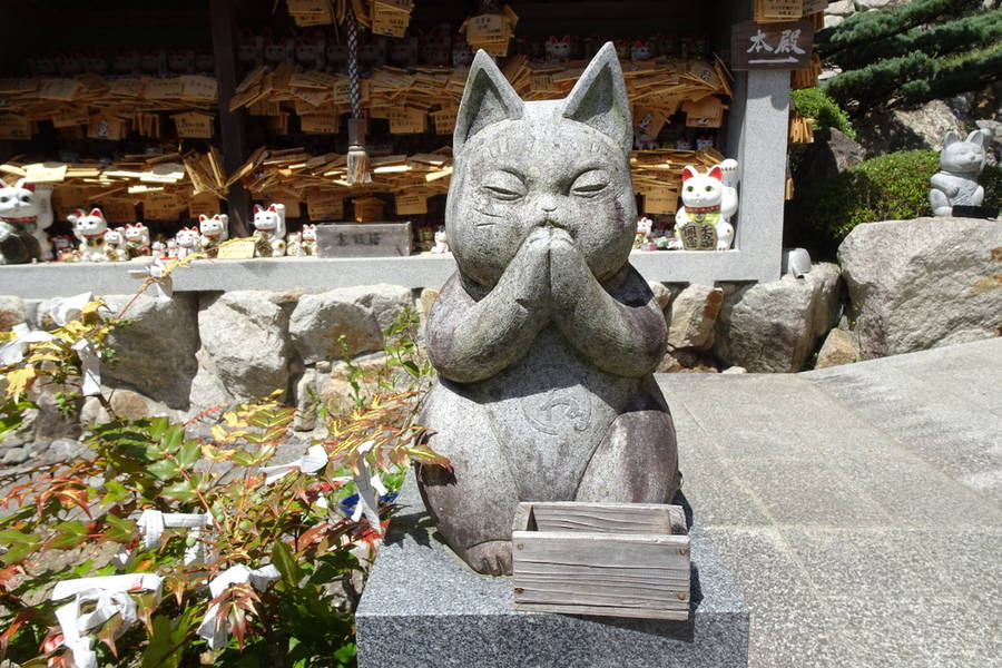 お松大権現｜招き猫が１万体以上！猫神様各位が大集合の猫神社【徳島観光スポット】