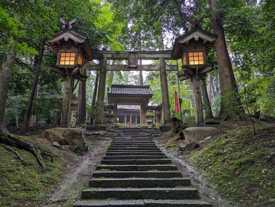 大塩八幡宮｜雨上がりに醸し出される異世界情緒の古刹【福井観光スポット】