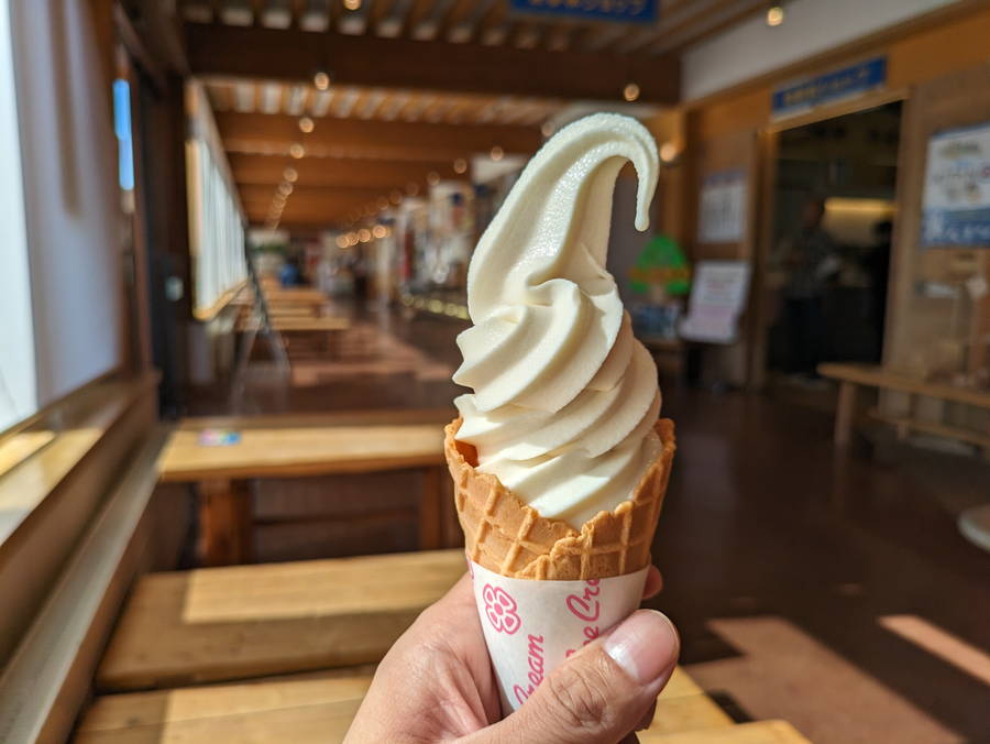 希少種！白花豆ソフトクリームは上品な甘さが特徴【北海道・北見グルメ】