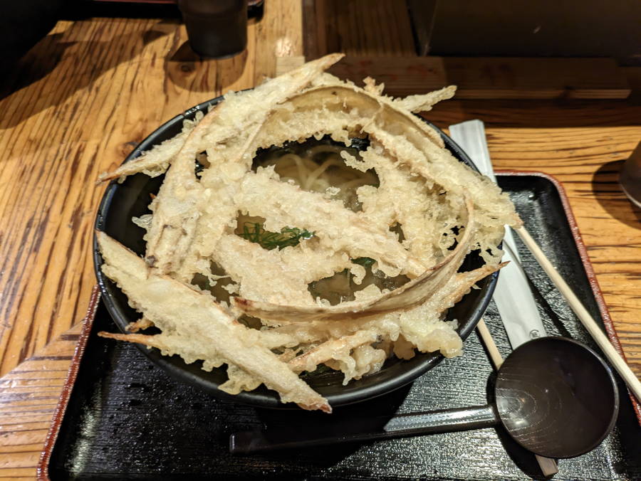 大地のうどん｜芸術的なごぼう天と豊前裏打会の輝く麺【福岡グルメ】