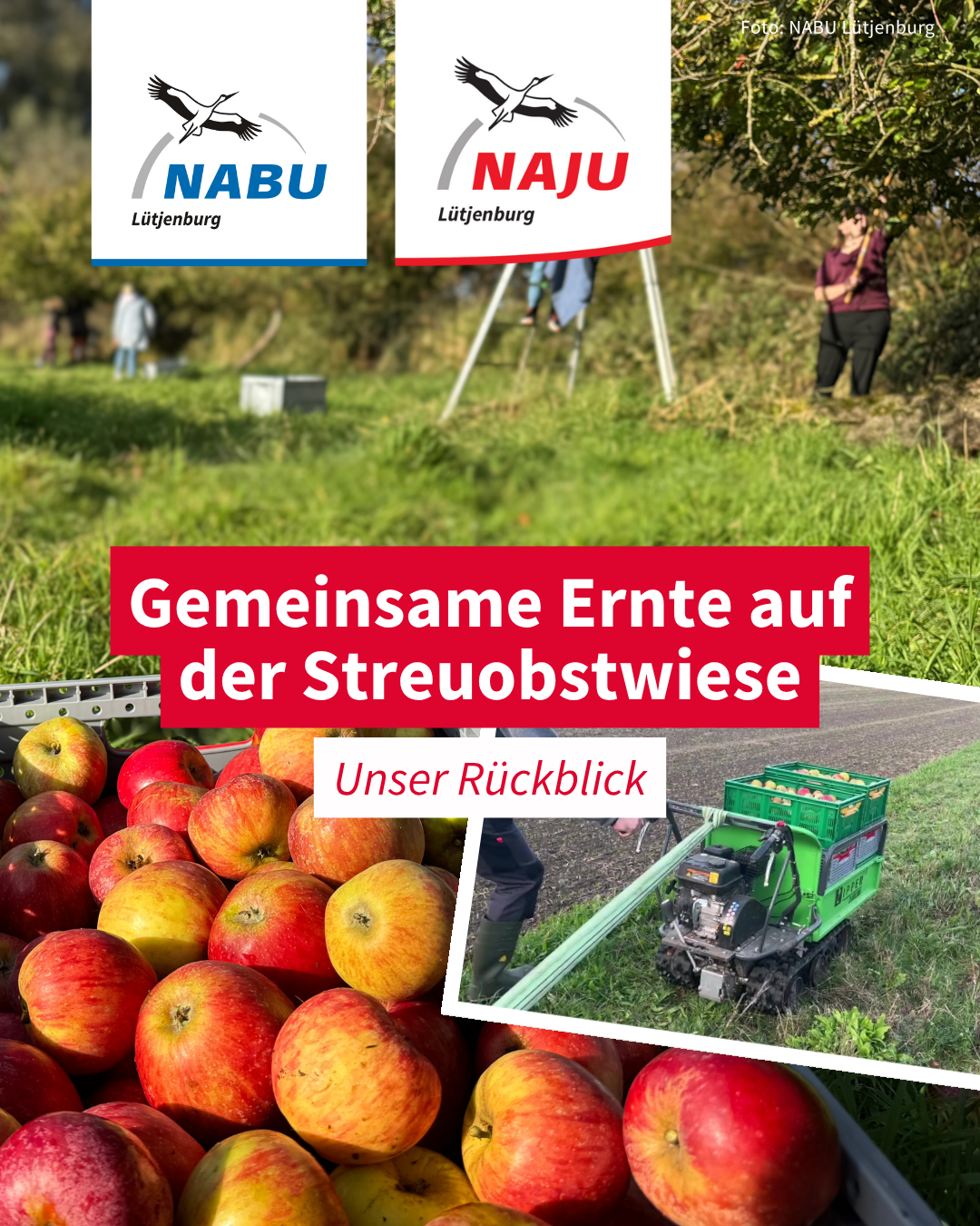 Gemeinsame Ernte auf der Streuobstwiese