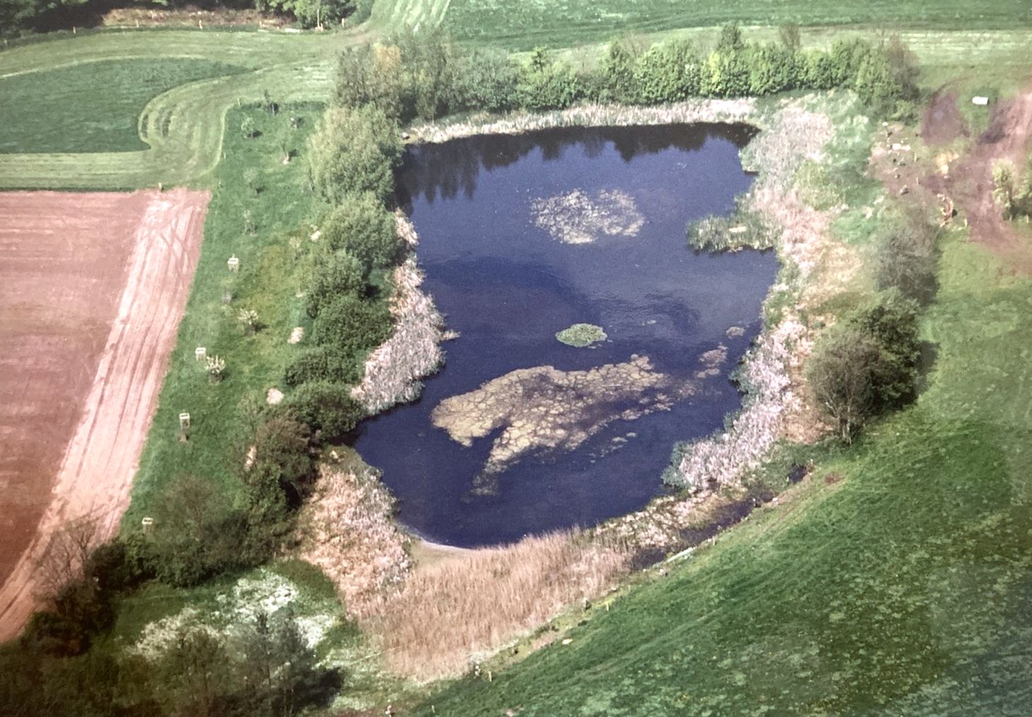 Moorwiesenteich (NABU Lütjenburg Archiv)