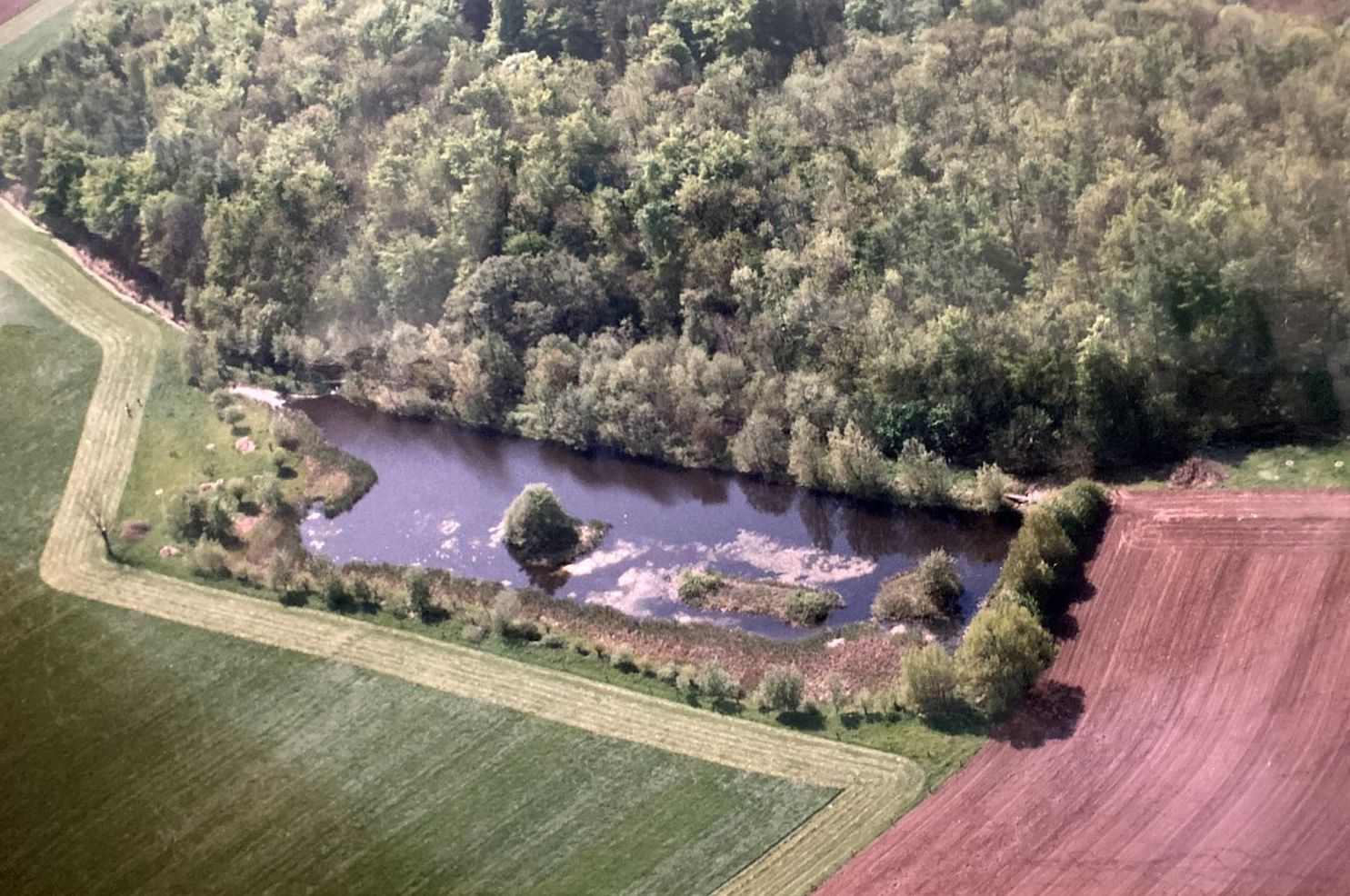 Holzwiesenteich (NABU Lütjenburg Archiv)