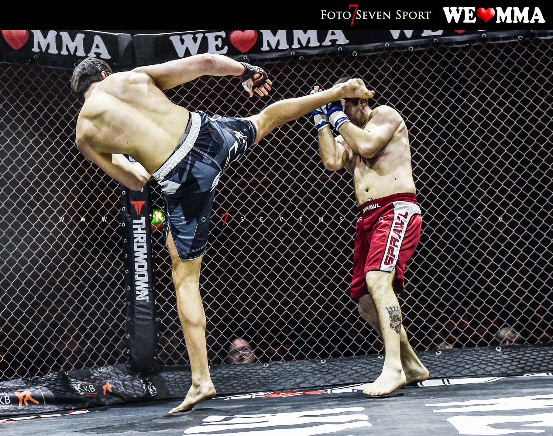 We Love Mma Dresden We Love Mma Dresden
