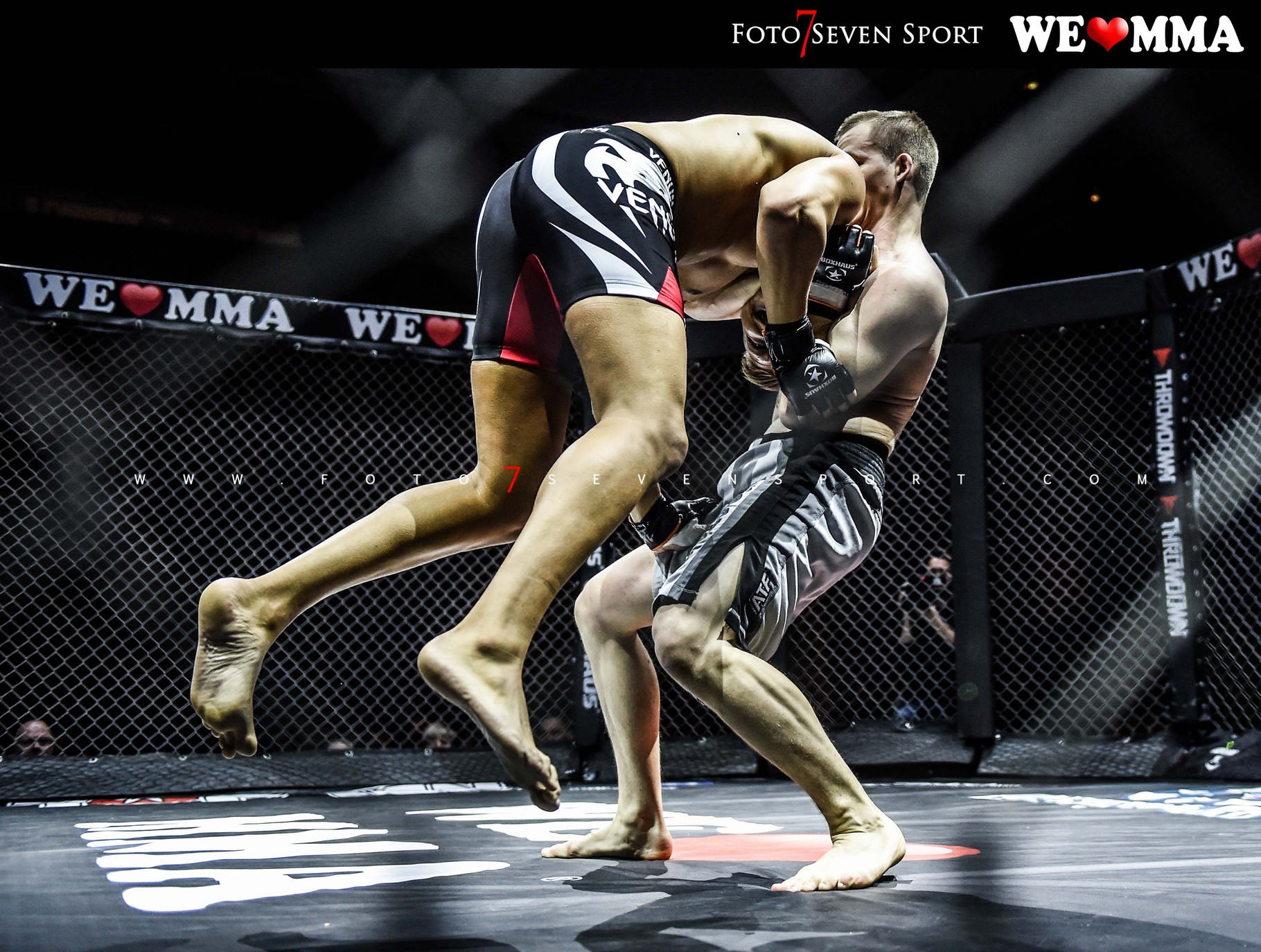 We Love Mma Dresden We Love Mma Dresden