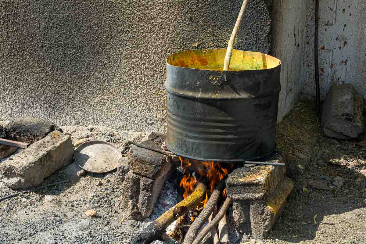 Le neem ou la couleur jaune