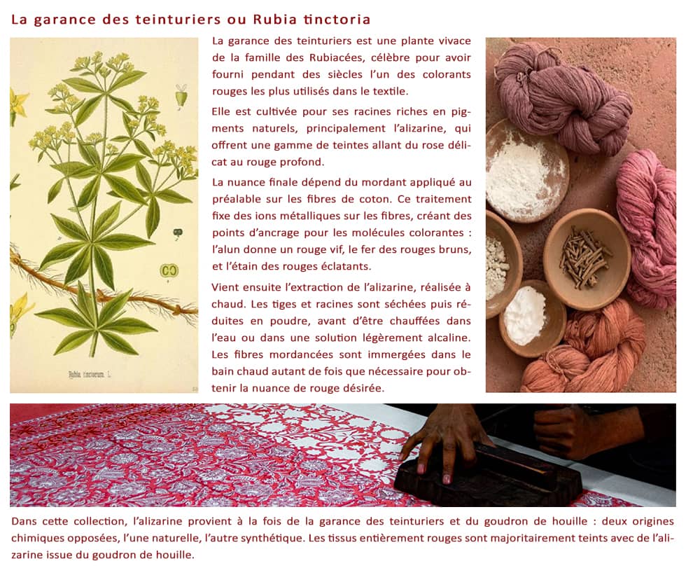 La garance des teinturiers ou comment est extrait l'alizarine, le principe colorant de la plante.