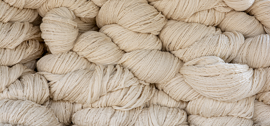 Le myrobolan, un mordant et un colorant