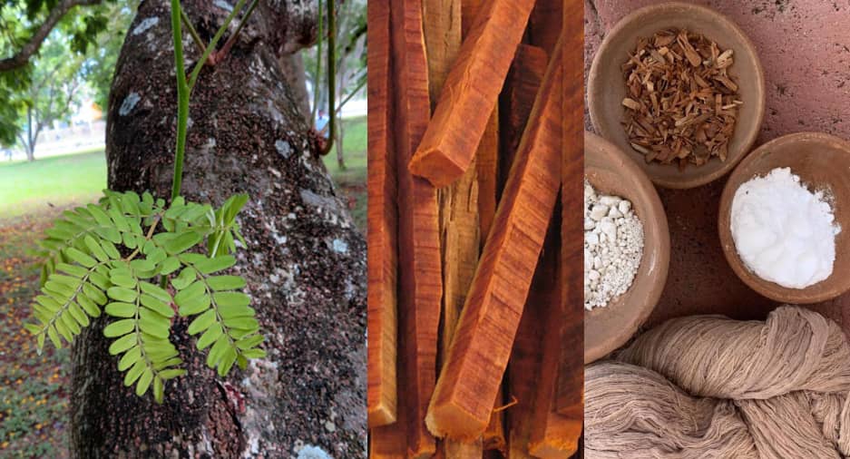Le bois de sappan est un colorant végétal naturel qui, après un mordançage à l’alun, permet de teindre les fibres textiles dans des tons allant du rose clair au rouge.