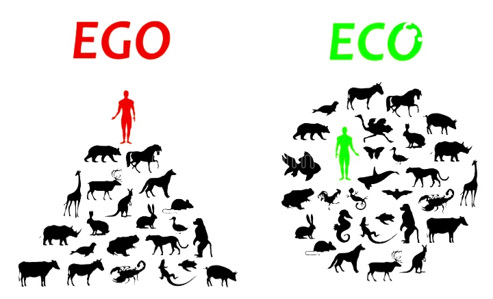 Clean up the Air and treat the Animals fare...