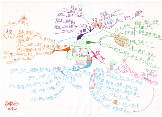 マインドマップ (作: 真田 千奈美 さん)