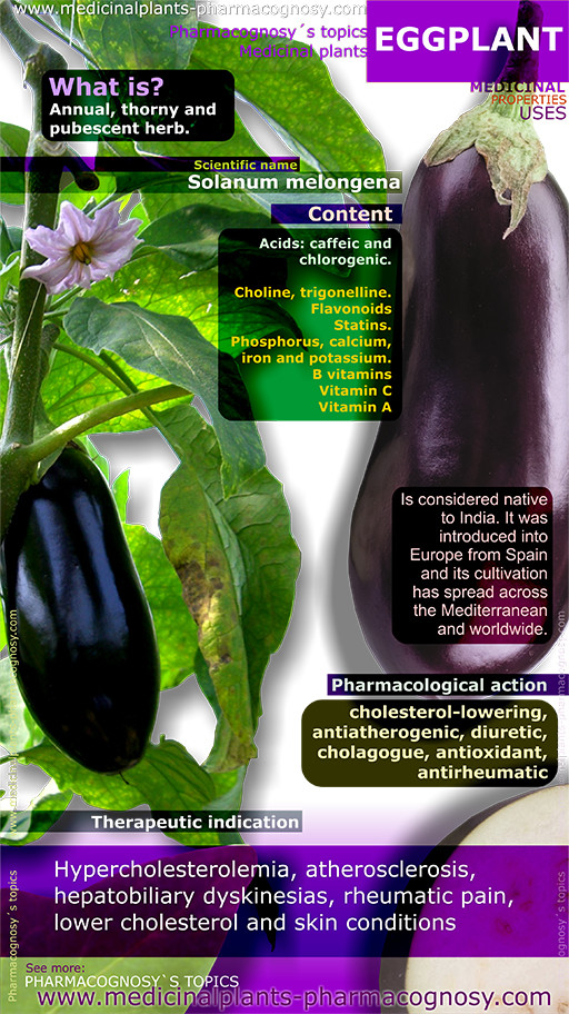 Eggplant benefits. Infographic