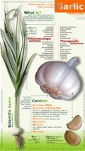 garlic properties