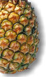 Pineapple - Medicinal plants