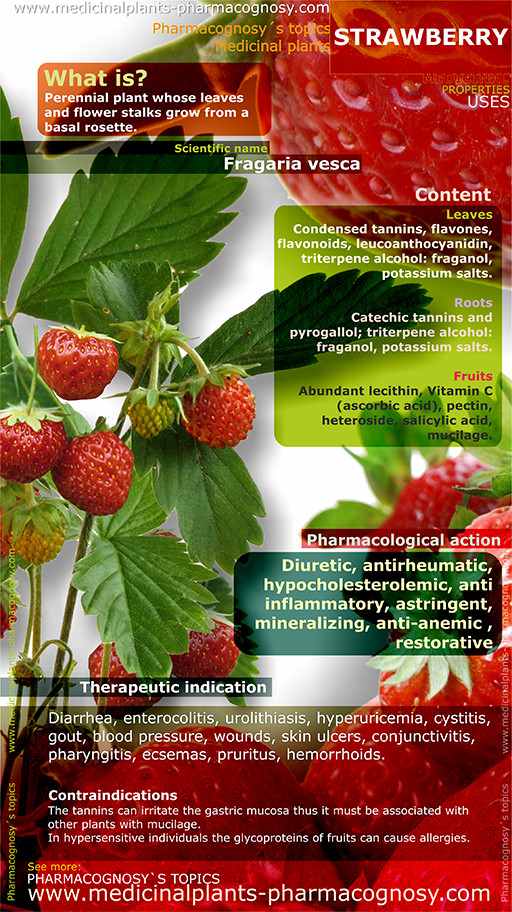 Strawberry benefits. Infographic