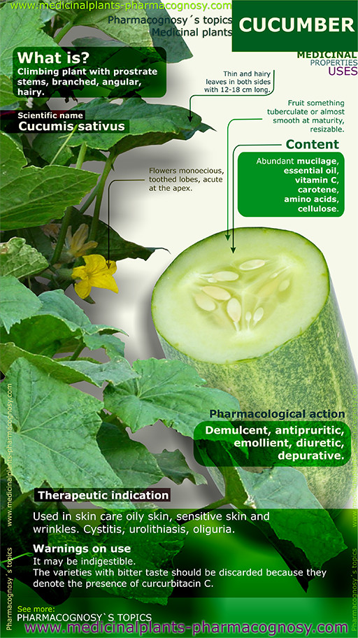 Cucumber benefits. Infographic