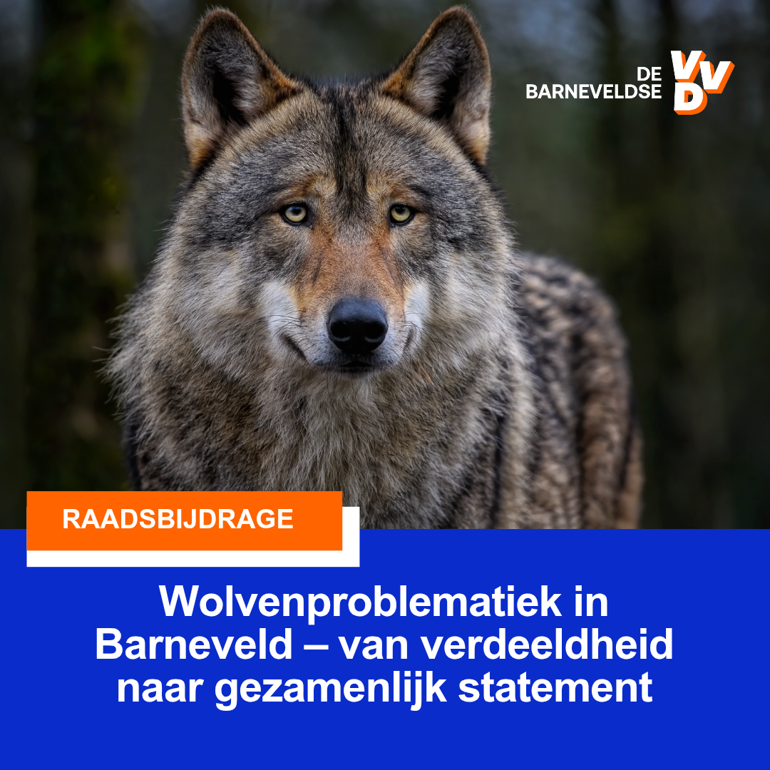 Wolvenproblematiek in Barneveld – van verdeeldheid naar gezamenlijk statement