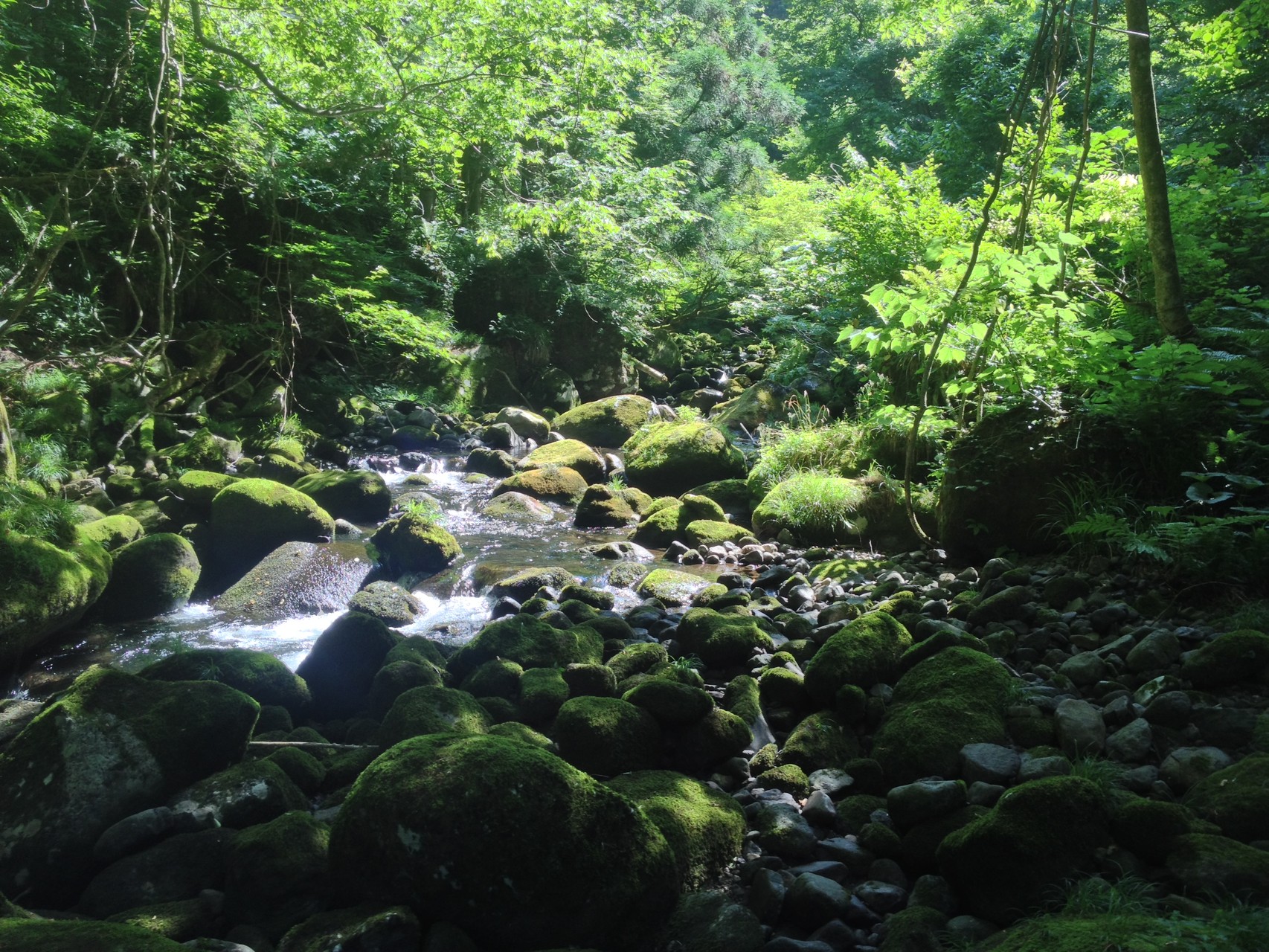 ここしばらく雨が降っていない為　渇水に近い状態