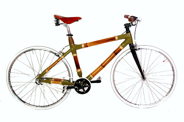 Octavi Bamboo Bike Tours