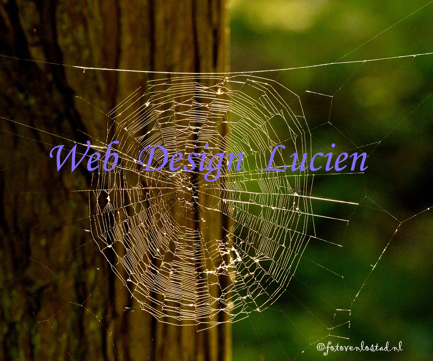 (c) Webdesignlucien.nl