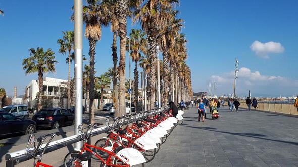 24 Stunden in Barcelona: Stadtstrand mit langer Promenade zum Flanieren 