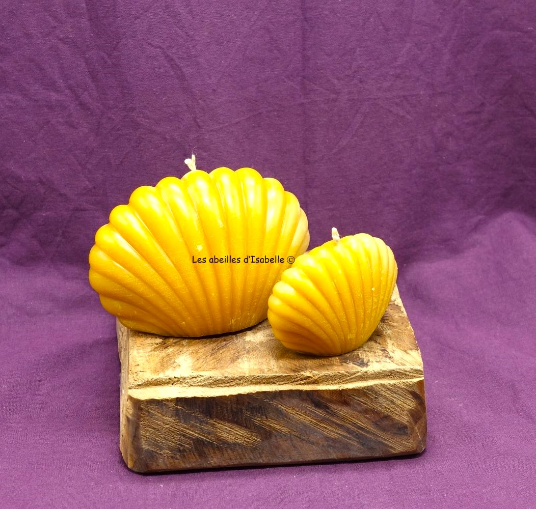 la bougie Coquille      https://www.lesabeillesdisabelle.fr/app/module/webproduct/goto/m/mcb6dd4abeadd9376