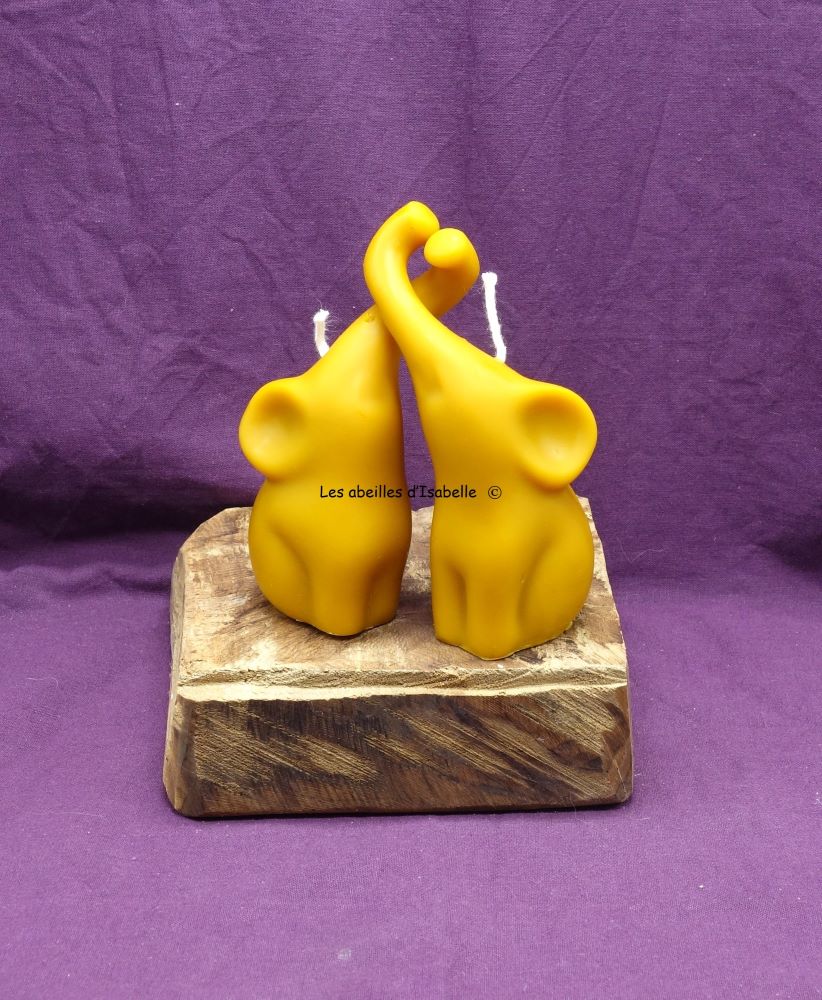 éléphants amoureux