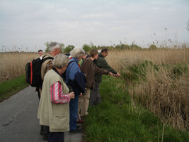 2008 Rieselfelder in Münster