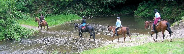 Jens Hammer Wanderreiten Westerwald, Lahn, Taunus