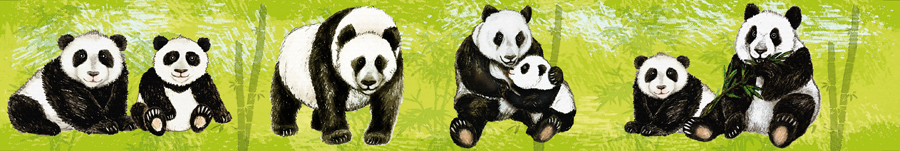 nachhaltige Vliesbordüre mit Pandabären im Bambuswald, nach Aquarellart, Motive liebevoll per Hand gemalt