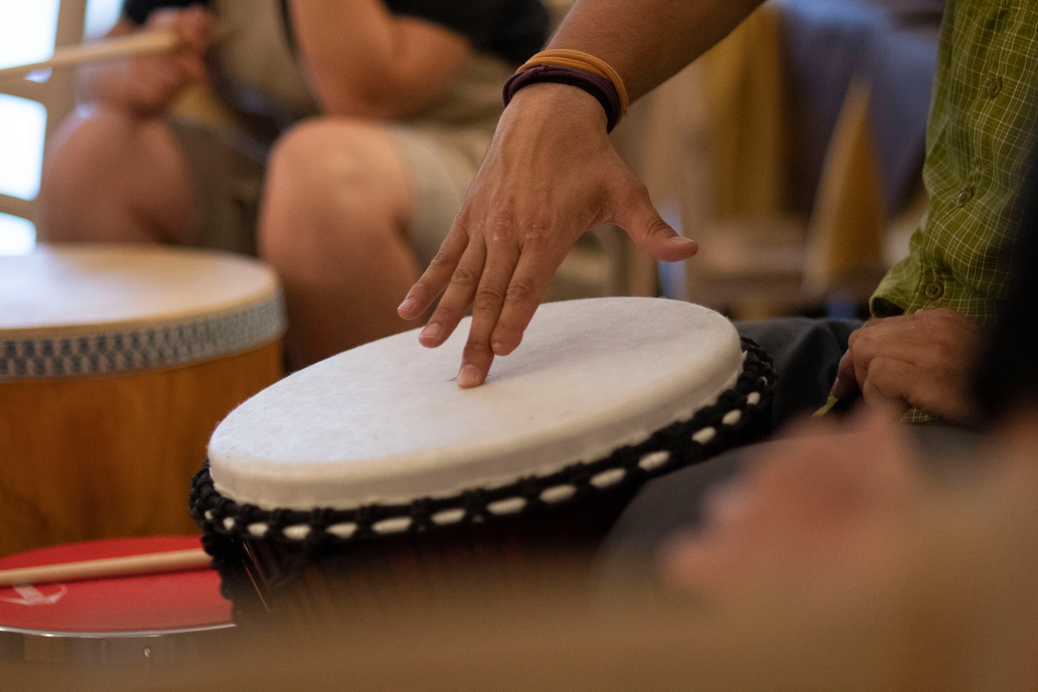 il ponte Codroipo n. 1 febbraio 2023 by Il Ponte - Issuu, image size:2048x1365