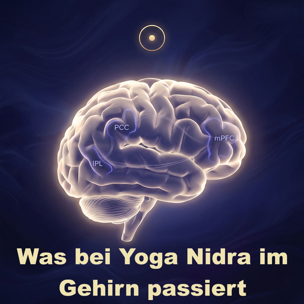 Wenn das Default Mode Network stiller wird: Yoga Nidra wissenschaftlich entschlüsselt