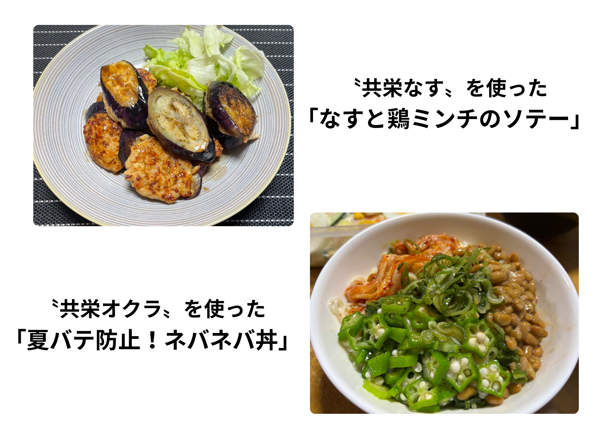 【菜園企画】#9 共栄野菜レシピ！