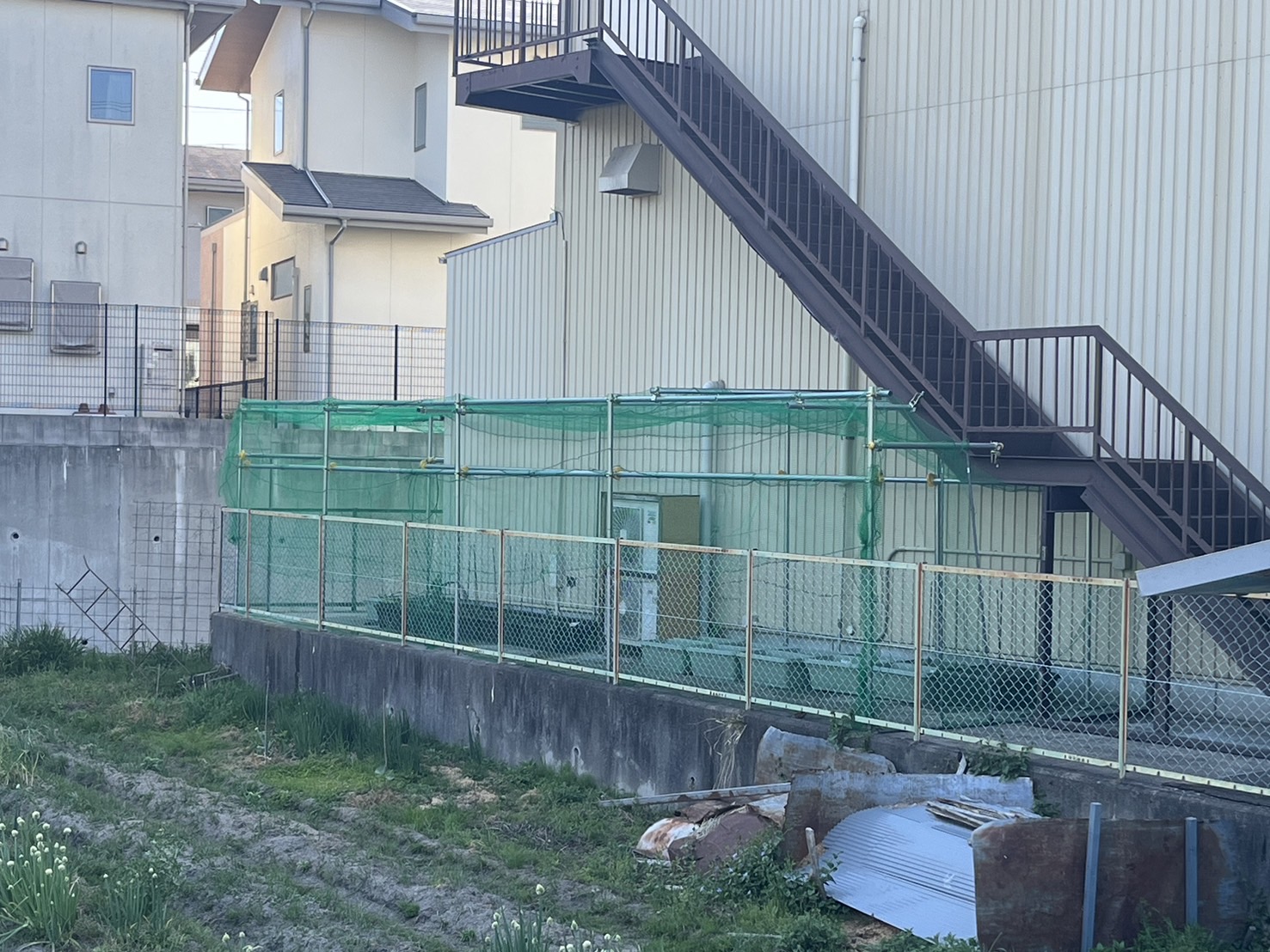 【菜園企画】#6 防鳥対策完成！！