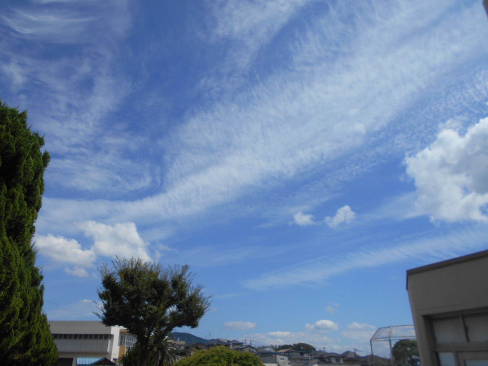 気持ちのいい空