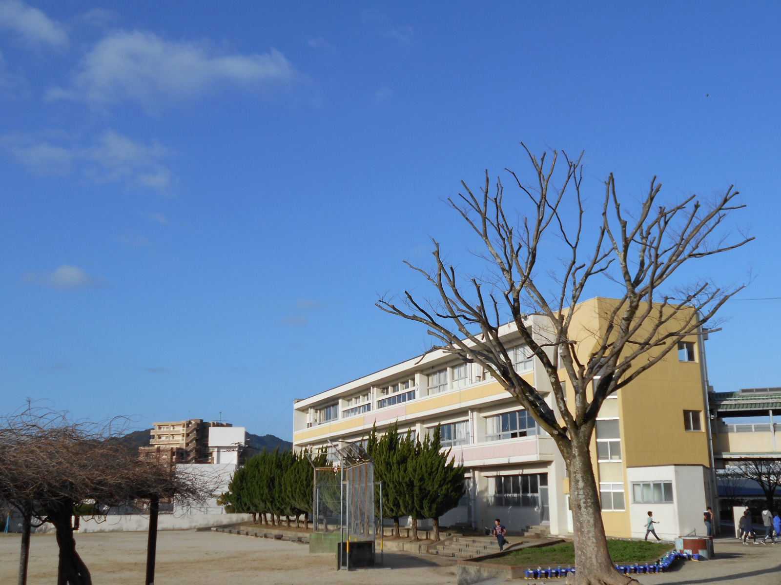新館ときれいな青空