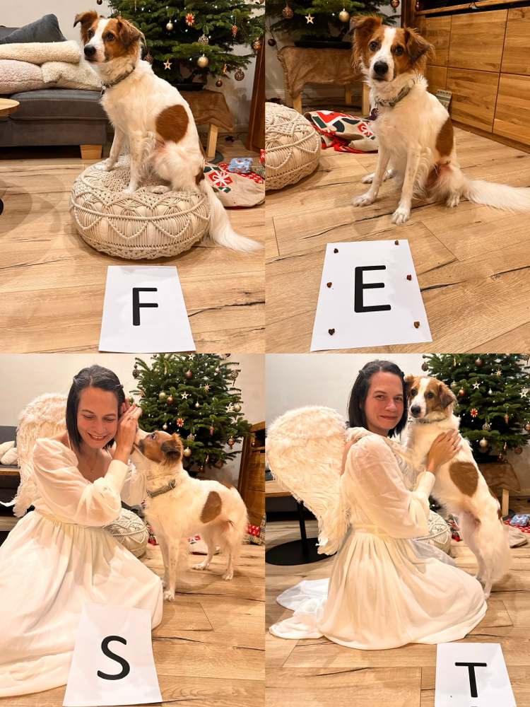24.12.2025 Frohes Fest!