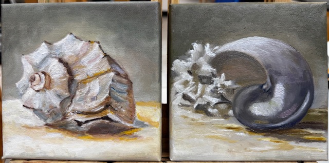 Schelpen - Elsje Konings-Zeiss